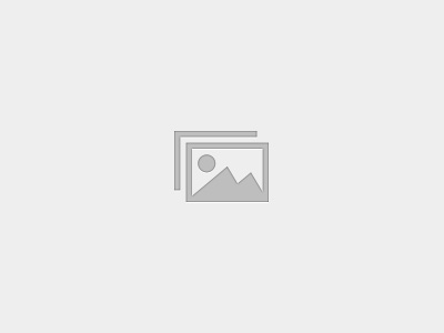 Test Groups | ,